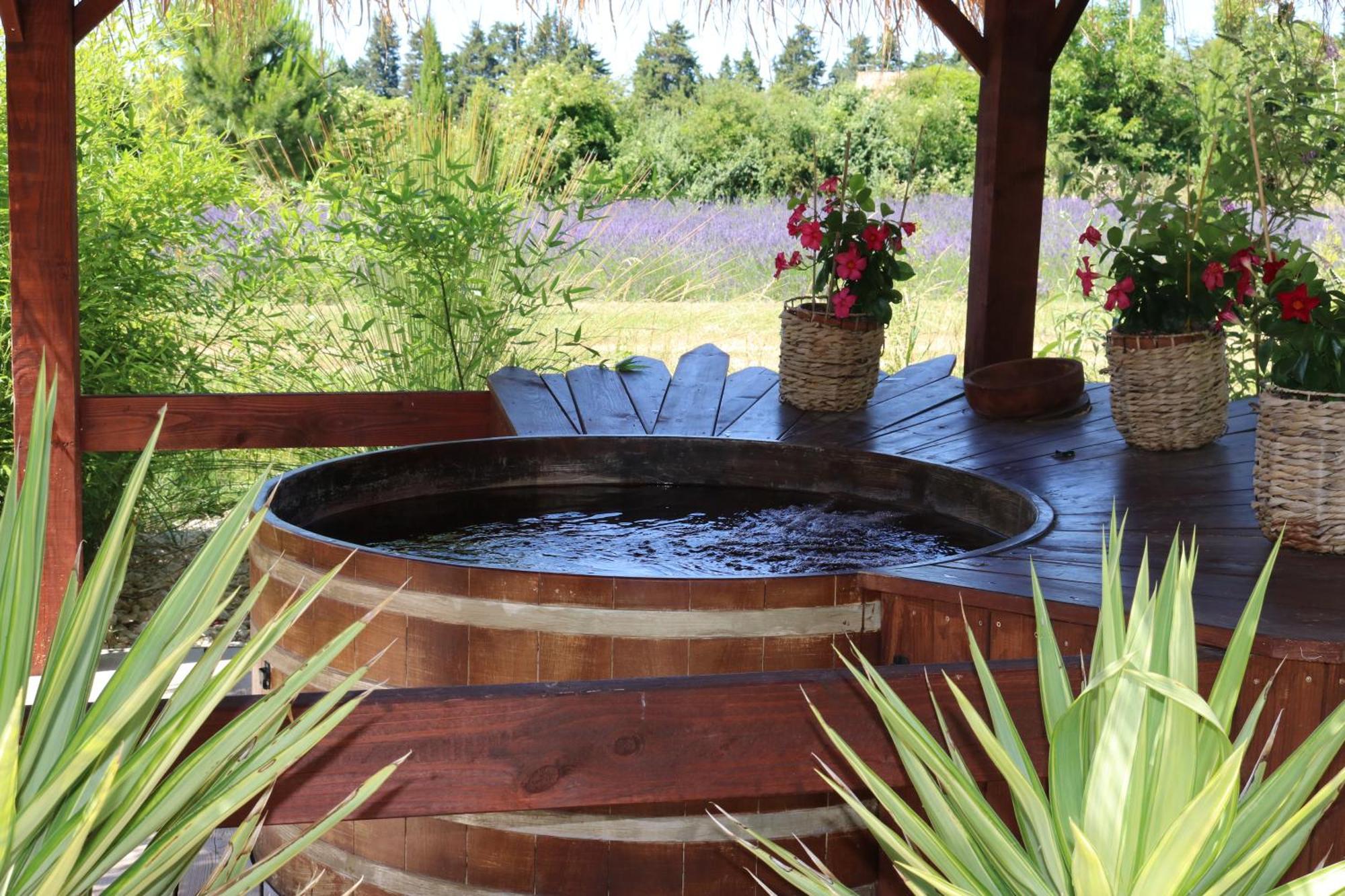 Lavand'Ange Et Spa 사리앙 외부 사진